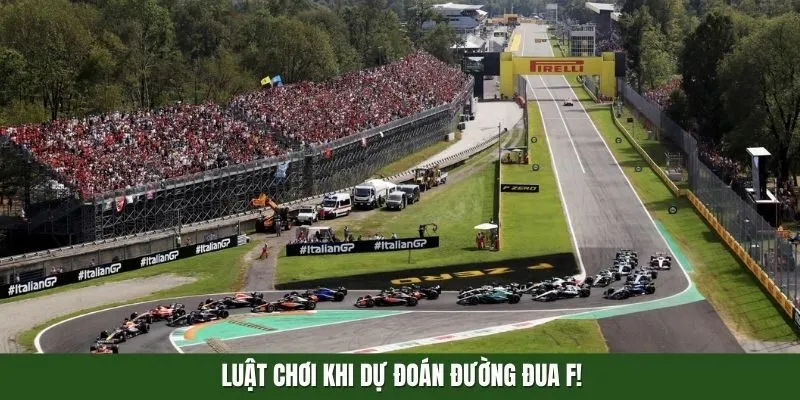 Luật chơi khi dự đoán đường đua F1