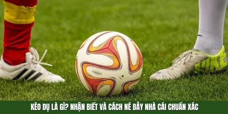 kèo dụ là gì