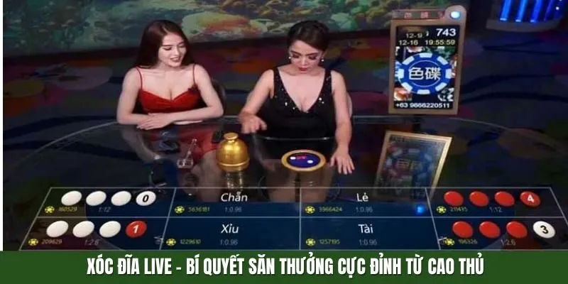 Xóc đĩa live